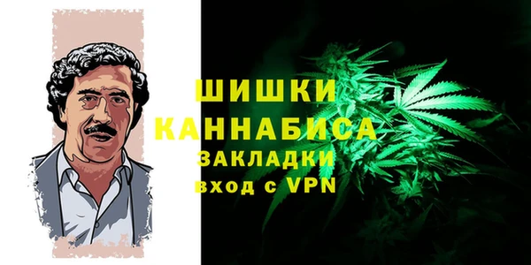 дмт Абаза