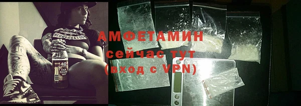 дмт Абаза