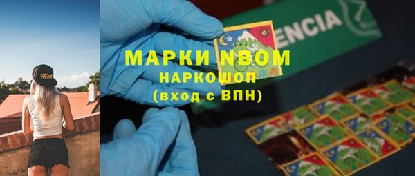 дмт Абаза