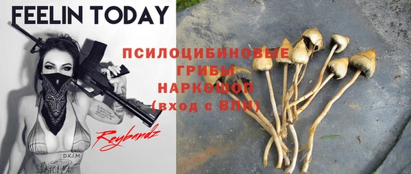 дмт Абаза
