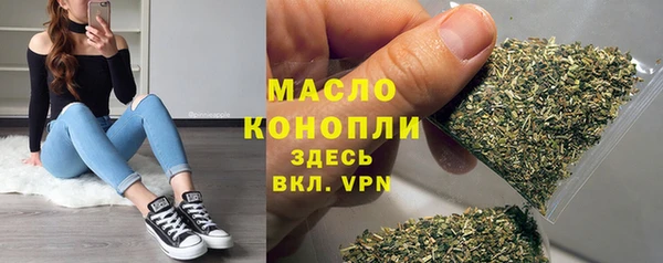дмт Абаза