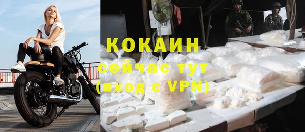 дмт Абаза