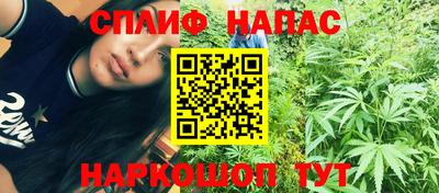 сатива Дмитров