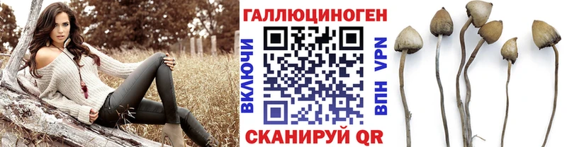 дарнет шоп  Липецк  мега как зайти  Псилоцибиновые грибы мицелий 